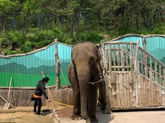 -大连森林动物园