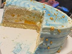 -维尔纳斯·生日蛋糕动物奶油冰淇淋蛋糕(人大店)