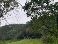 -青龙山国家森林公园