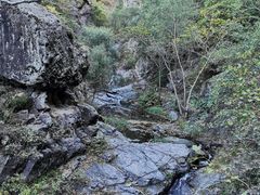 -云岫谷游猎自然风景区