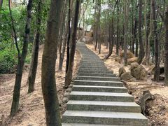 -火炉山森林公园