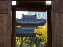 -三垟湿地
