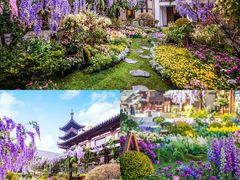 -上海鲜花港