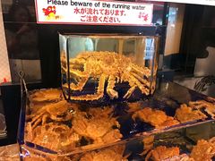 -蟹道乐(道顿堀本店)