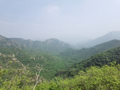 -大岭沟猕猴桃谷风景区