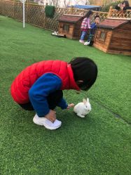 -萌宠亲子动物乐园(槐房万达店)