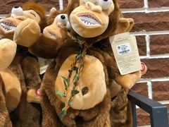 -The Green Party(湛江万达广场店)