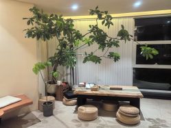 -阿南达·瑜伽普拉提·阿育吠陀疗愈中心