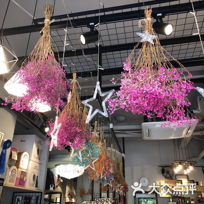 猫三狗四pet club图片-北京宠物店-大众点评网