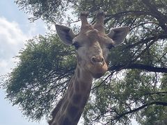 -沈阳森林动物园