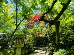 -常寂光寺