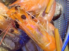 基围虾-船梆煮•蒸汽海鲜·生腌干蒸(五四广场店)