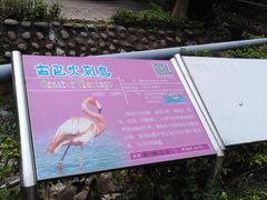 -广东茂名森林公园