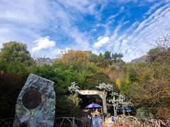 -王顺山国家森林公园