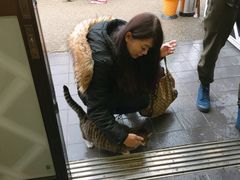 -名古屋城