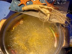 -千岛蚝高压锅生蚝·人参火锅(白云万达店)