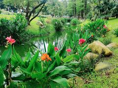 -人民公园(罗湖区)