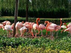 -石家庄市动物园