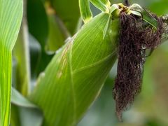 -瀛海足球主题公园