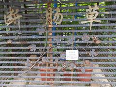 -广州神农草堂中医药博物馆