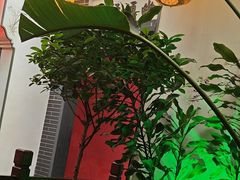 -小江南(老洋桥店)