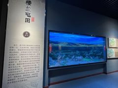 -巴音郭楞蒙古自治州博物馆