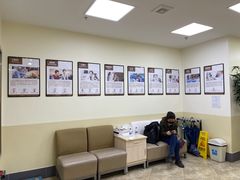 -美联众合动物医院·24h转诊中心