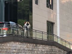 -湖南广电中心大楼
