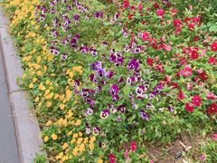 -凯德广场(武胜路店)