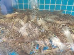 -喜来酌海鲜·饺子(和平一店)