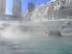 -清河半岛温泉度假酒店