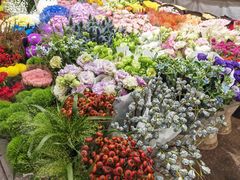 -双季花艺园艺市场(浦东店)