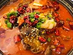 -乌兰湖畔草坪轻奢营地