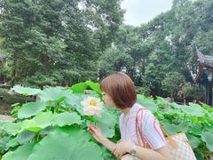 -宝光寺