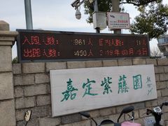 -嘉定紫藤园