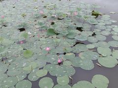 -长春市南湖公园