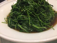 -老东吴食府(雅都店)