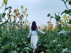 -中国天府农业博览园