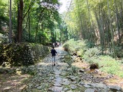 -仙霞关景区