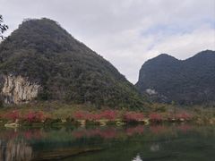 -靖西鹅泉风景区