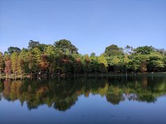 -华南国家植物园-售票处