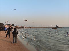 -老虎石海上公园