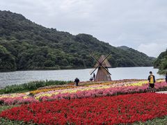 -广州市石门国家森林公园
