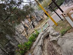 -洪湖悦兮半岛国际温泉度假村