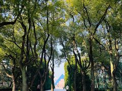 -上海市龙华烈士陵园