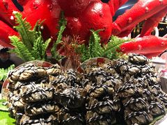 -五月罗马海鲜自助餐厅(陆家嘴店)