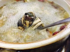 乌鸡野生菌汤-东巴谷野生菌火锅餐厅