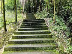 -凤栖山