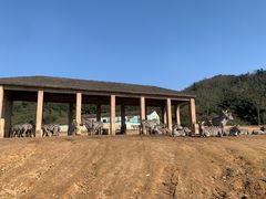 -杭州野生动物世界