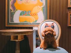 -more than meow吴止猫主题餐厅(承德 中船汇店)